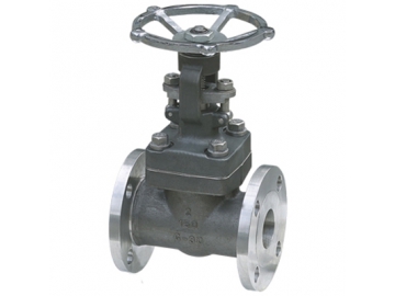 صمام الجلوب                     Gate Valve