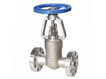 صمام الجلوب                     Gate Valve