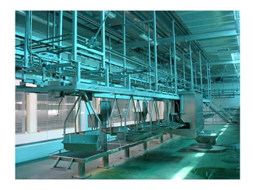 نظام نقل الجلود    Skin Conveyor System