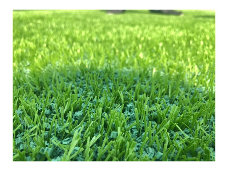 حبيبات ملء العشب الصناعي فئة WFIG/F  Artificial Grass Infill