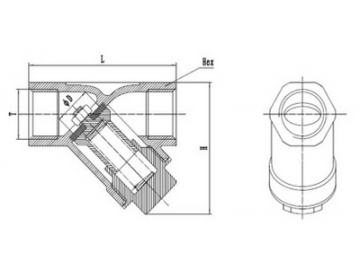 محبس عدم رجوع بنابض استانلس ستيل على شكل Y  Stainless Steel Y-Spring Check Valve