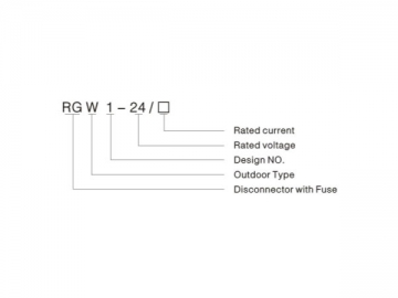 مفتاح عزل بثلاثة أقطاب مع حامل الفيوزات في الخارج RGW1