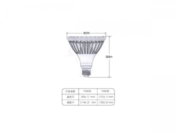 مصباح LED PAR