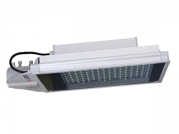 ﻿ مصابيح الشارع LED <span dir='rtl'>ZT-L101B</span>