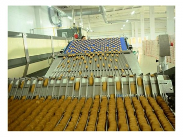 خط إنتاج البسكويت الهش (البسكويت الطري)   Soft Biscuit Production Line